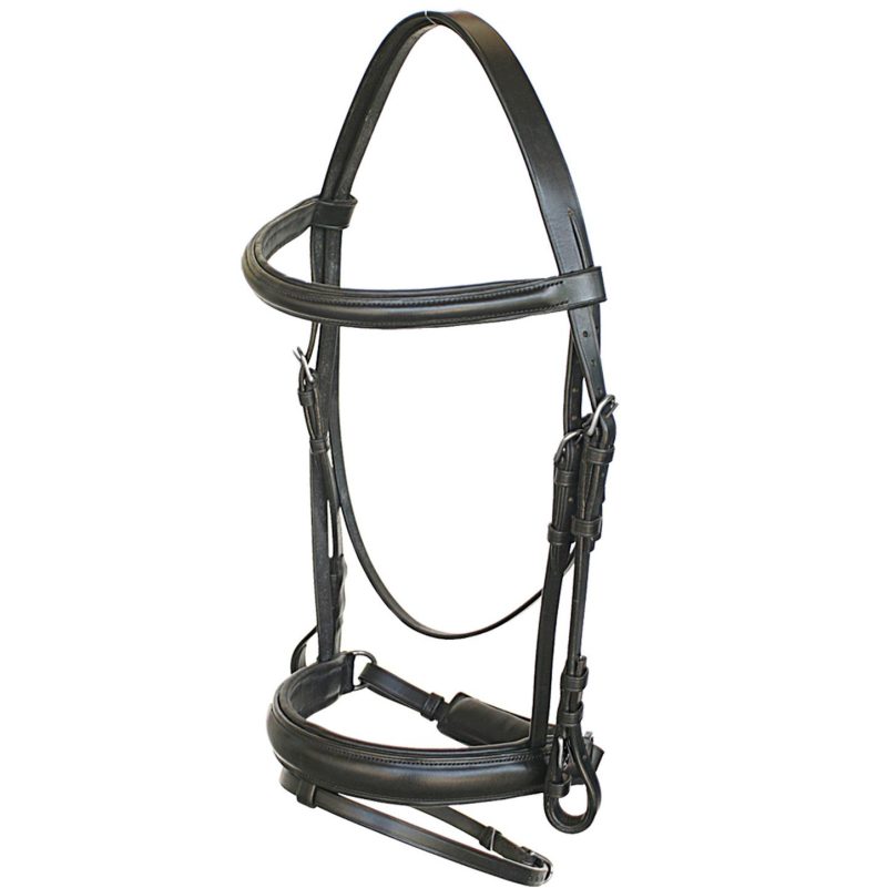 In cuoio, con capezzina imbottita inglese con doppia regolazione. Provvista di fibbie tonde in acciaio inox.