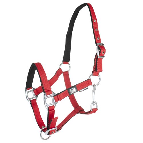 Cavezza Puledro Imbottita Soft Touch Supreme