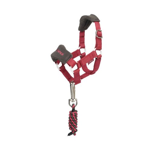 Toy Pony Vogue Headcollar Ember