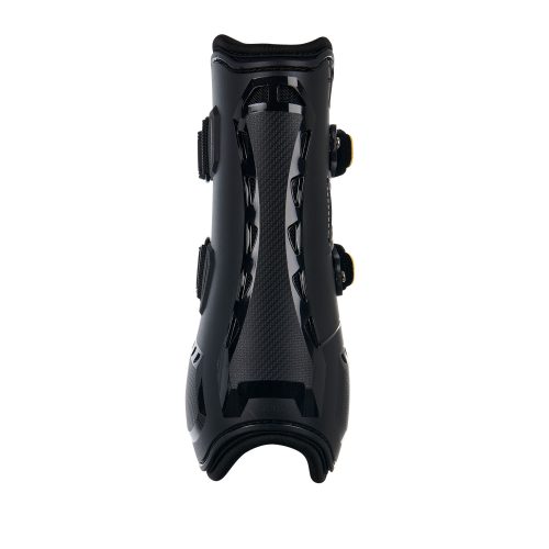 Paratendini Equestro Evolution