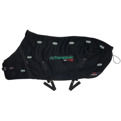 Therapeutic Air Rug